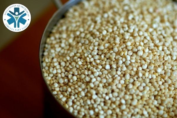 Quinoa; ideal para prevenir la gastritis y más